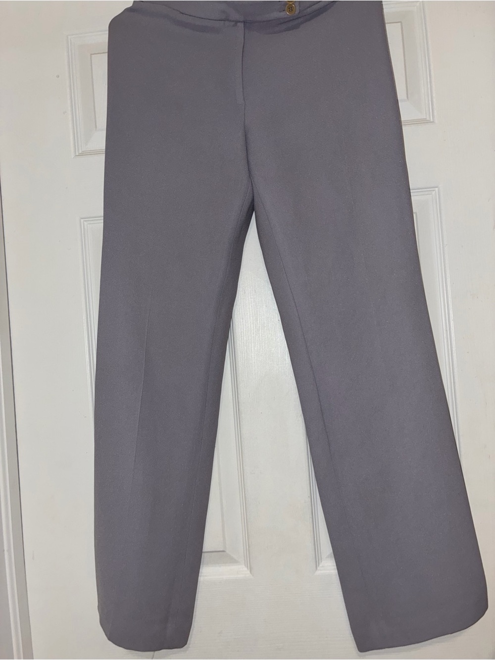 BCBG Lilac Gray Straight-Leg Pants (Trousers)